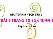 Giải bài 9 trang 48 SGK Toán 9 tập 1